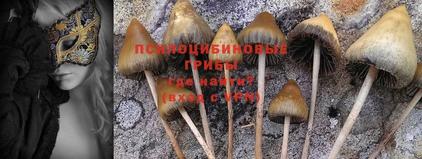 герыч Пестово