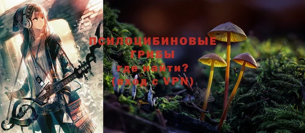 герыч Пестово