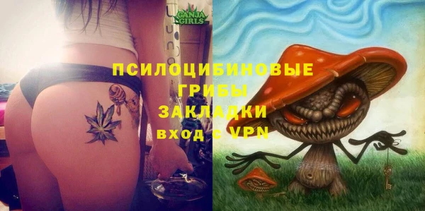 стаф Вязьма