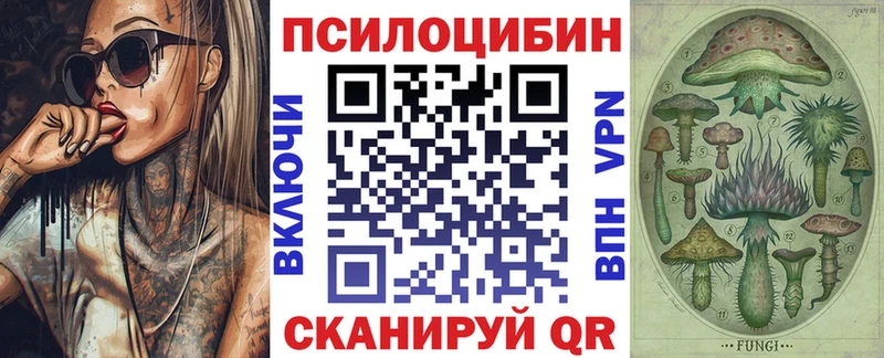Псилоцибиновые грибы Psilocybe  Курлово 